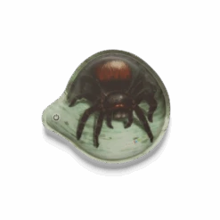 Blinkie-Klettie (1-piece) Spider