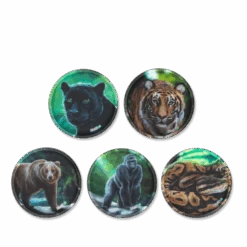 Klettie-Set (5-piece) MATT Jungle