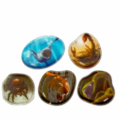 Contour Kletties-Set Dangerous Animals